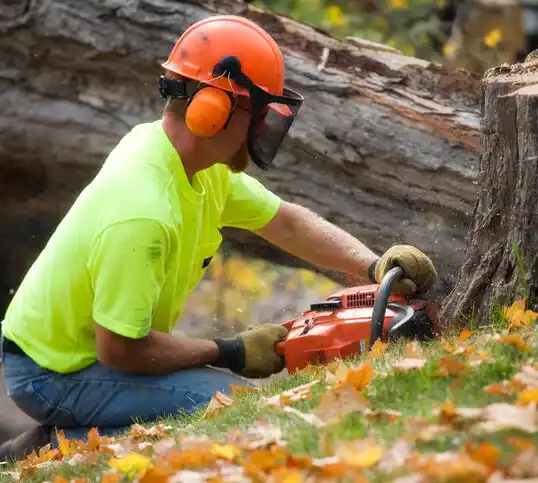 tree services New Concord